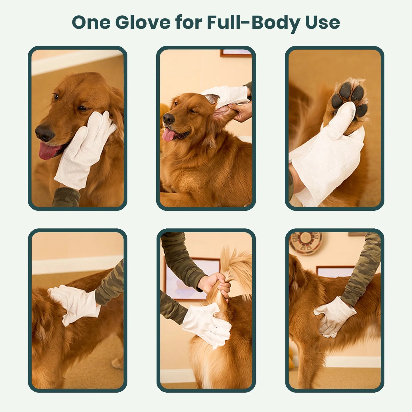 Pet Glove Wipes - 5 Packs (10 Gloves)